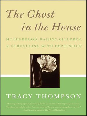 The Ghost in the House - ebook